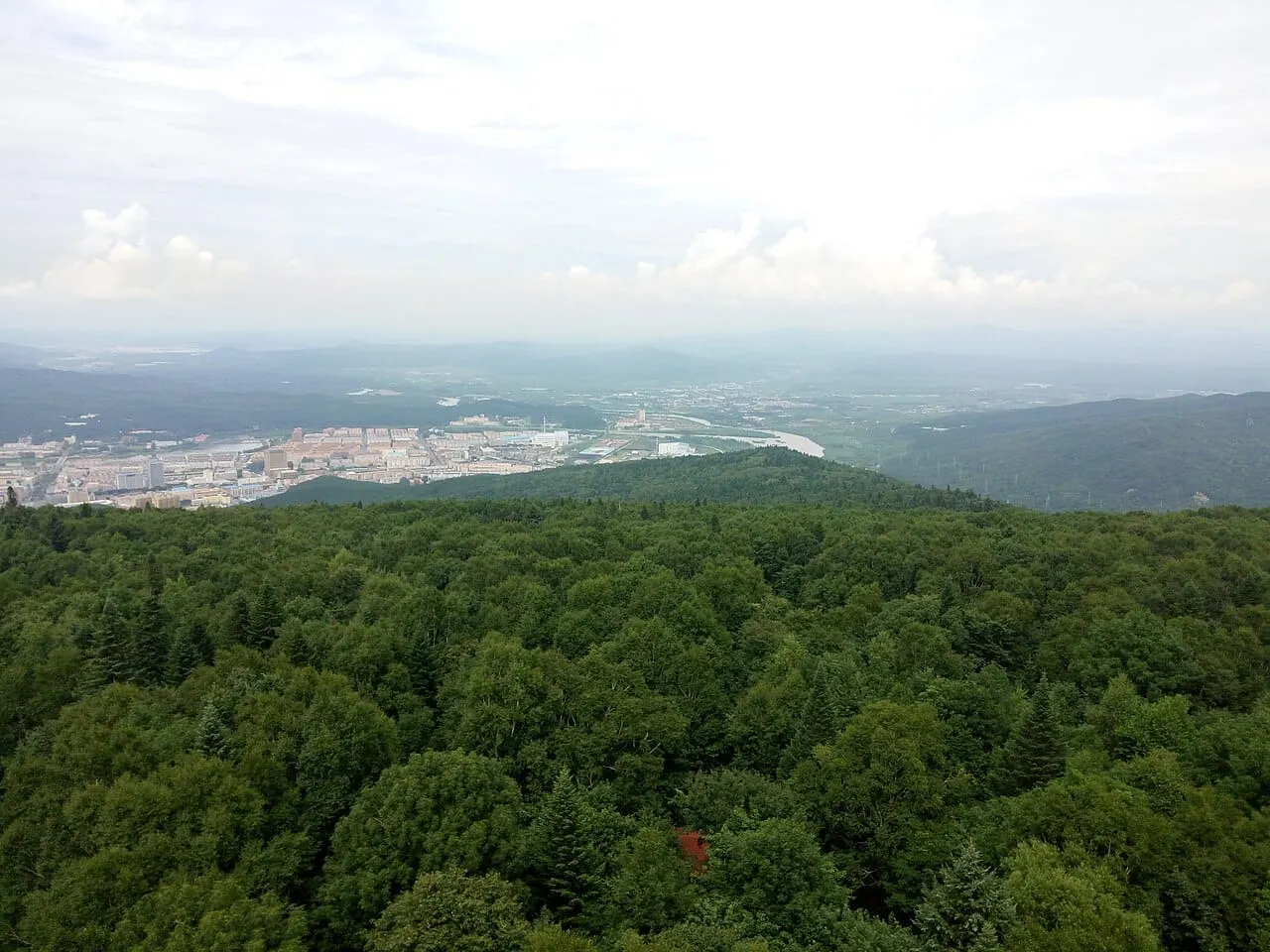 Green forest on the hills around the city of Yichun in Heilongjiang